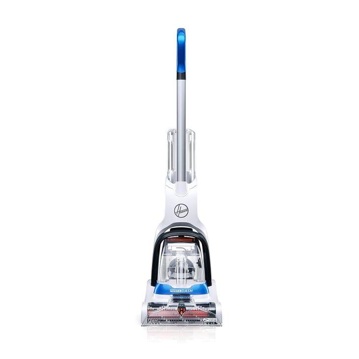 If You Have a Pet (and Carpeting), Then This Cleaner Will Change Your Life